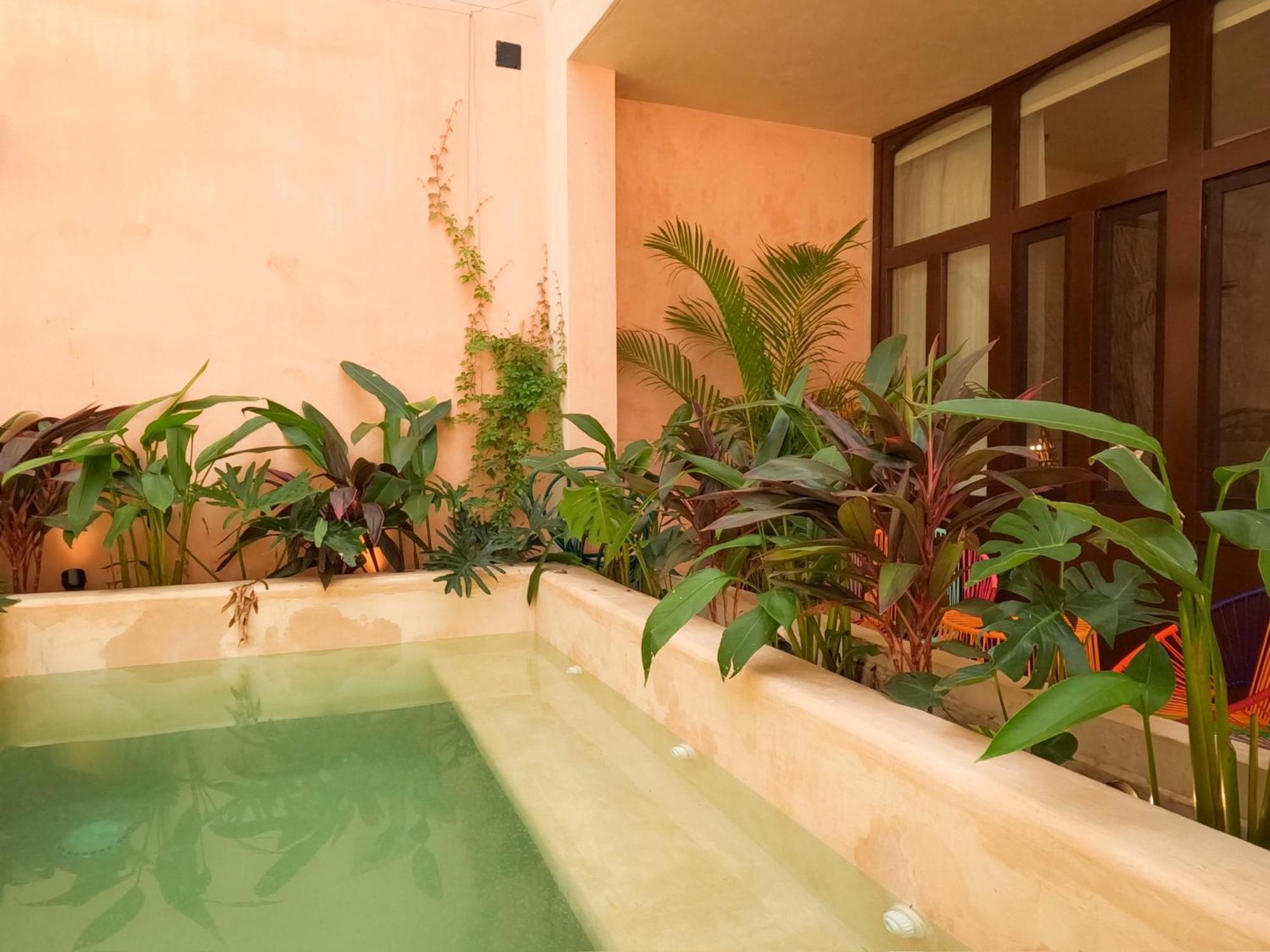 Kuka Y Milpa Bed & Breakfast *